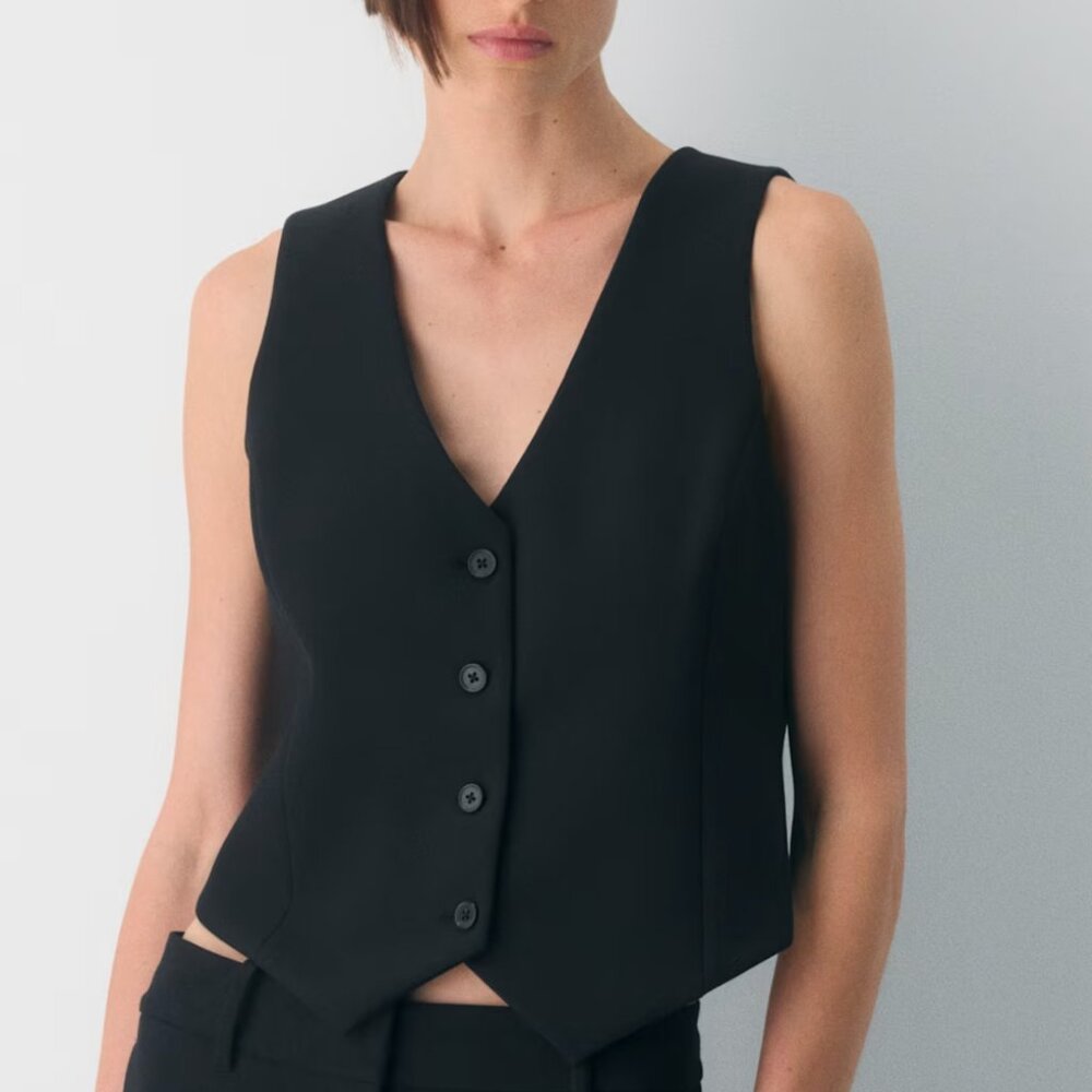 Aritzia Babaton Vest (Black)